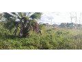 40m-by-50m-plot-for-sale-in-silverest-small-1