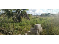 40m-by-50m-plot-for-sale-in-silverest-small-2
