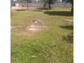 40m-by-50m-plot-for-sale-in-ibex-hill-small-0