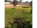 40m-by-50m-plot-for-sale-in-ibex-hill-small-3