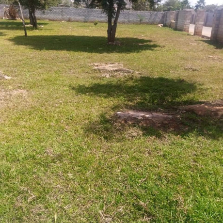 40m-by-50m-plot-for-sale-in-ibex-hill-big-4