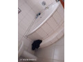 3-bedroom-flat-for-rent-in-lilayi-small-8