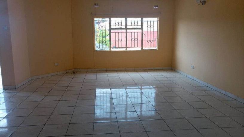 4-bedroom-house-for-rent-in-kalingalinga-big-9