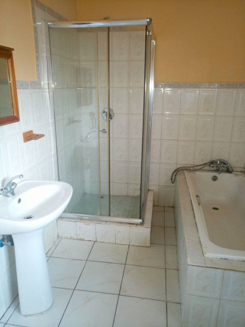 4-bedroom-house-for-rent-in-kalingalinga-big-4