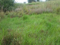 100-hectares-of-land-for-sale-in-ndola-zambia-small-4