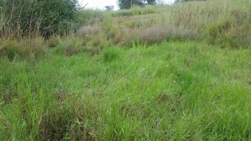 100-hectares-of-land-for-sale-in-ndola-zambia-big-4