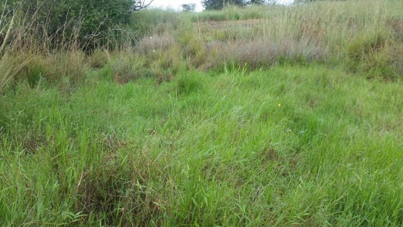 100-hectares-of-land-for-sale-in-ndola-zambia-big-2