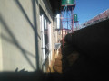 flats-for-sale-in-ibex-hill-small-8