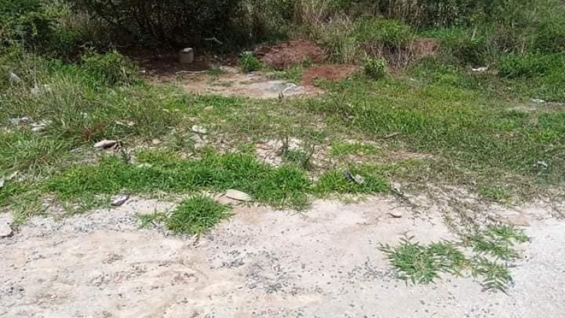 4100-sqm-plot-for-sale-in-lilayi-big-2