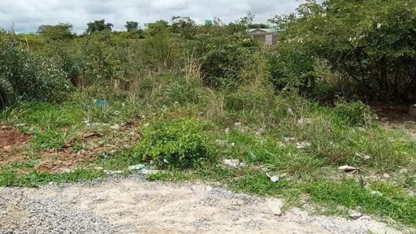 4100-sqm-plot-for-sale-in-lilayi-big-0