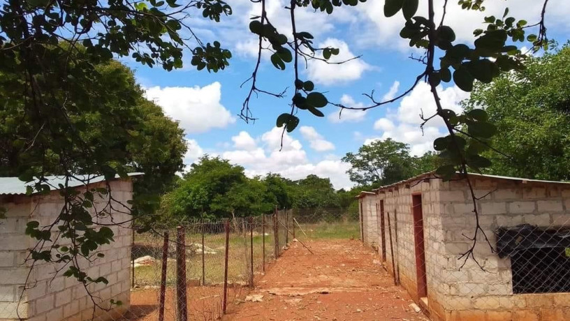 45m-by-23m-plot-for-sale-in-lilayi-big-4