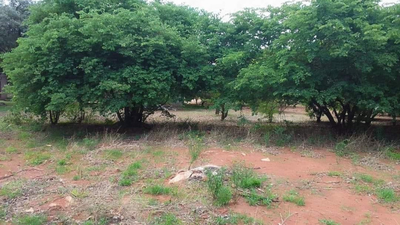 45m-by-23m-plot-for-sale-in-lilayi-big-8