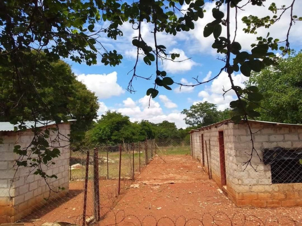 45m-by-23m-plot-for-sale-in-lilayi-big-4