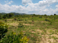 875-acres-land-for-sale-in-leopards-hill-small-3