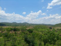 875-acres-land-for-sale-in-leopards-hill-small-1