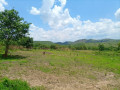 875-acres-land-for-sale-in-leopards-hill-small-2