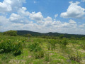 875-acres-land-for-sale-in-leopards-hill-small-0