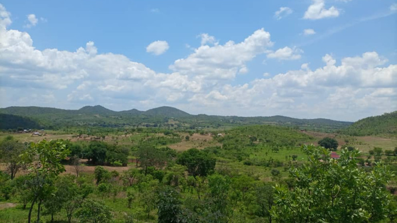 875-acres-land-for-sale-in-leopards-hill-big-1