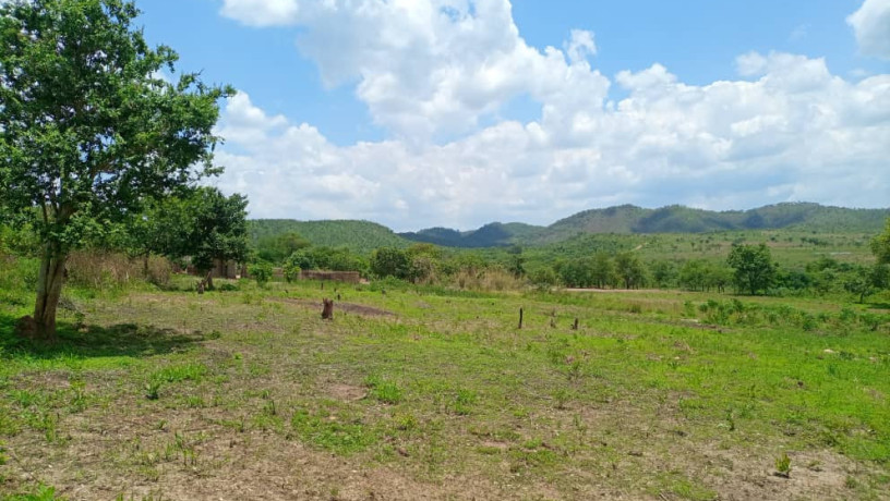 875-acres-land-for-sale-in-leopards-hill-big-2