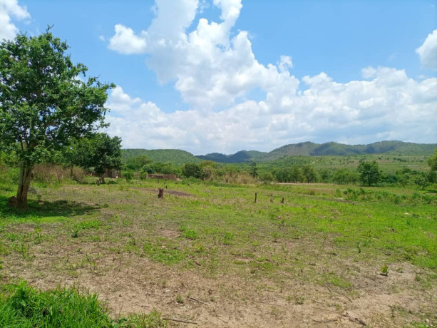 875-acres-land-for-sale-in-leopards-hill-big-2