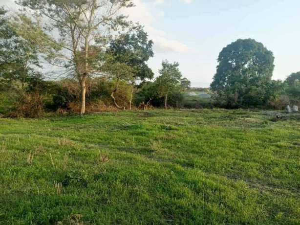 plots-for-sale-in-silverest-big-0