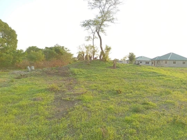 plots-for-sale-in-silverest-big-1