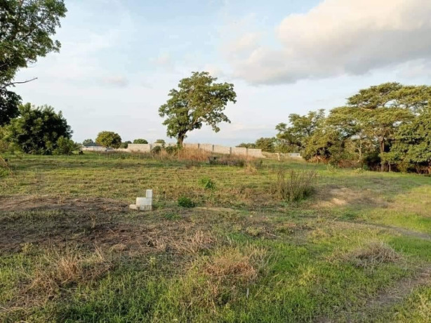 plots-for-sale-in-silverest-big-3