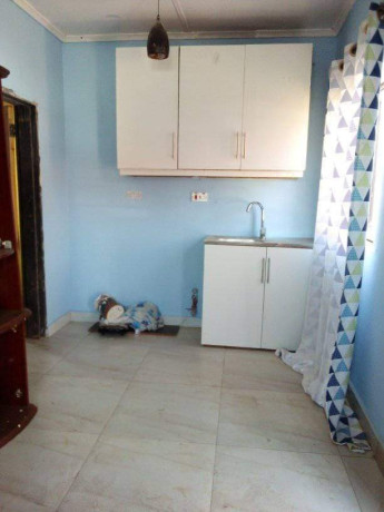 2-bedroom-flat-for-rent-in-lilayi-big-0
