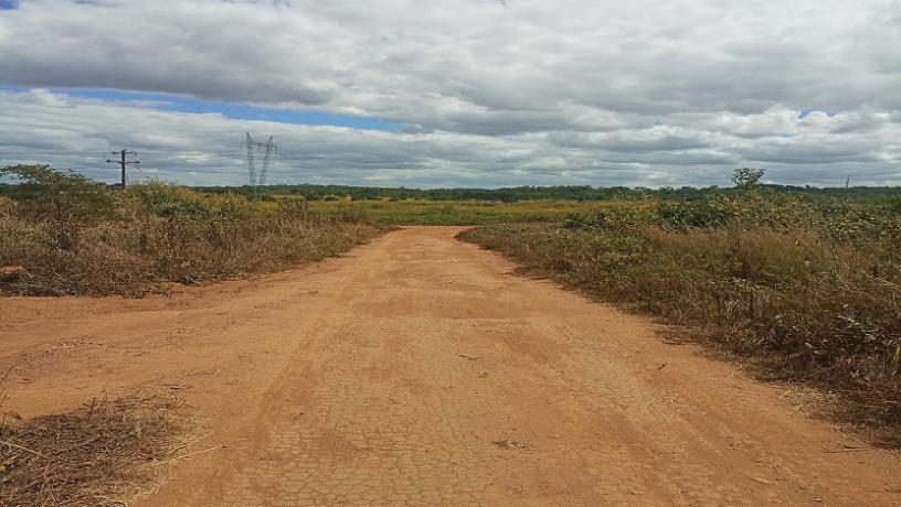 2-hectares-land-for-sale-in-chongwe-big-1