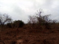 40-hectares-land-for-sale-in-chinyunyu-small-1