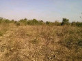 5-hectares-land-for-sale-in-kasisi-small-1