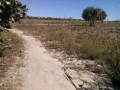 5-hectares-land-for-sale-in-kasisi-small-4