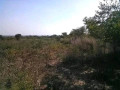 5-hectares-land-for-sale-in-kasisi-small-0