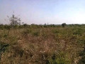 5-hectares-land-for-sale-in-kasisi-small-2