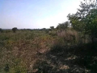 5 Hectares Land For Sale in Kasisi