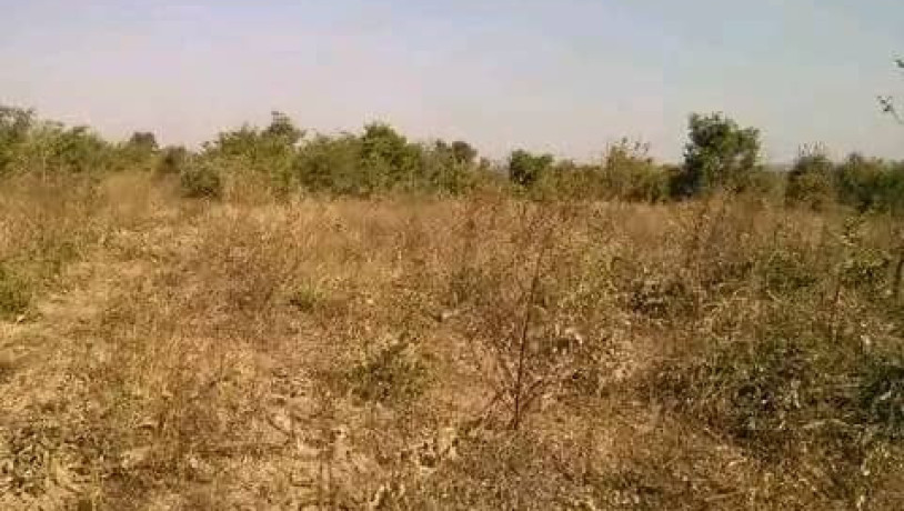 5-hectares-land-for-sale-in-kasisi-big-1