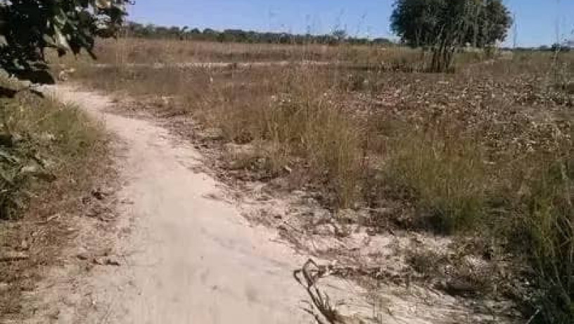 5-hectares-land-for-sale-in-kasisi-big-4