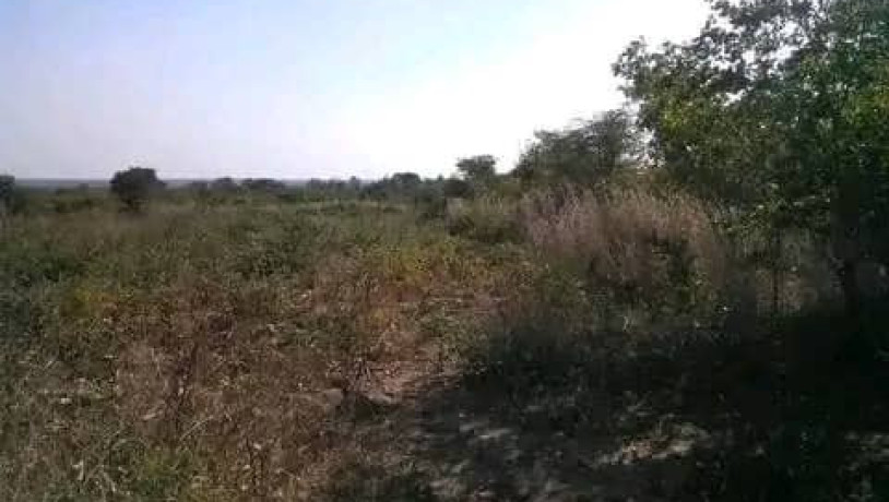 5-hectares-land-for-sale-in-kasisi-big-0