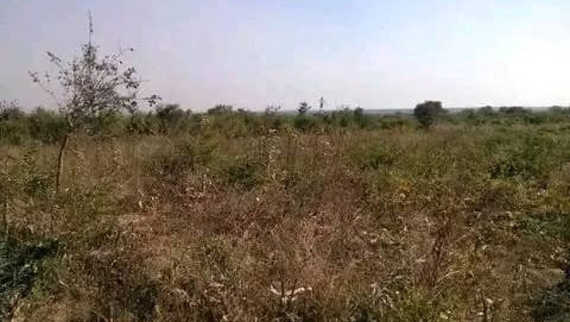 5-hectares-land-for-sale-in-kasisi-big-2