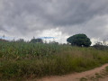 land-for-sale-in-chilanga-small-1