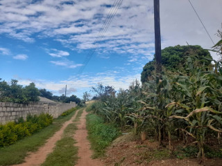 Land For Sale In Chilanga