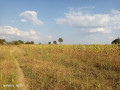 5-acres-farm-land-for-sale-along-mumbwa-road-small-4