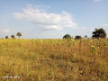 5-acres-farm-land-for-sale-along-mumbwa-road-small-6