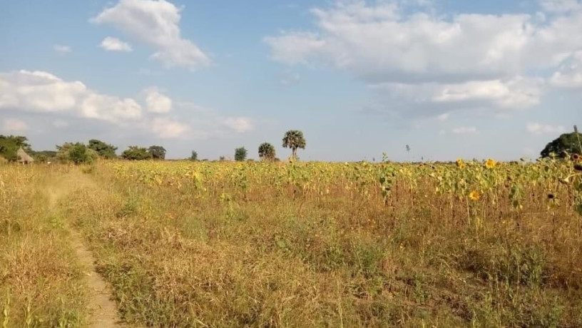 5-acres-farm-land-for-sale-along-mumbwa-road-big-4