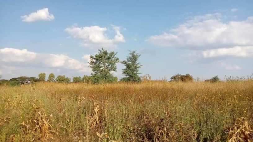 5-acres-farm-land-for-sale-along-mumbwa-road-big-5