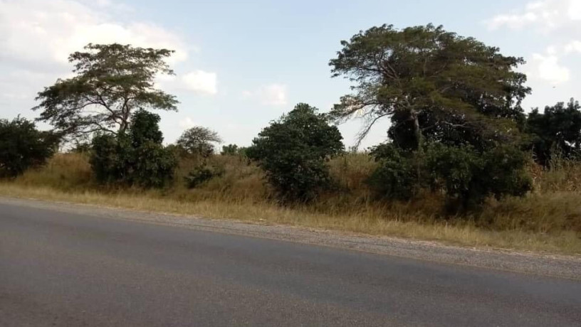 5-acres-farm-land-for-sale-along-mumbwa-road-big-0