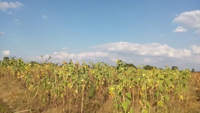 5-acres-farm-land-for-sale-along-mumbwa-road-big-2