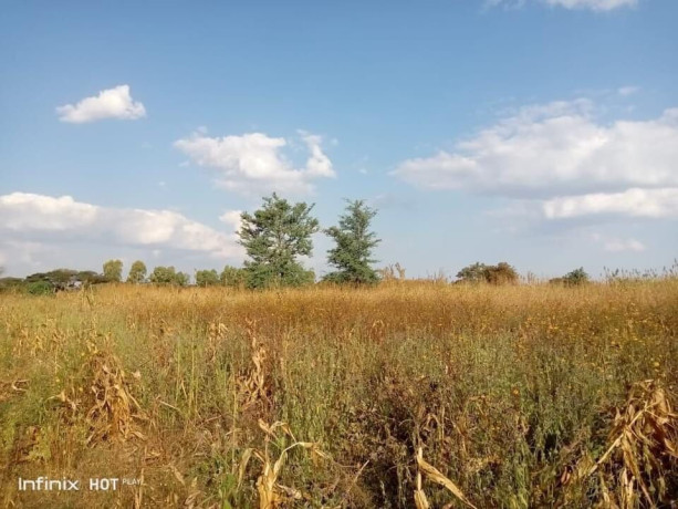 5-acres-farm-land-for-sale-along-mumbwa-road-big-5