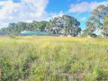 land-for-sale-in-makeni-bonaventure-small-1