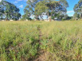 land-for-sale-in-makeni-bonaventure-small-0